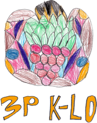 3PKLO_Logo